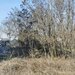 Ilfov Teren Intravilan 1100 mp in Corbeanca, aproape de Lac!